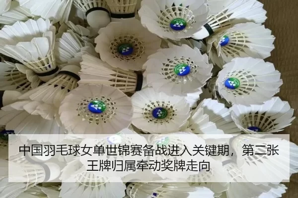 中国羽毛球女单世锦赛备战进入关键期，第二张王牌归属牵动奖牌走向